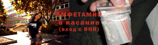 стаф Новодвинск