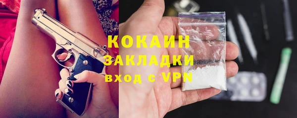сатива Няндома