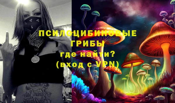 PSILOCYBIN Новозыбков