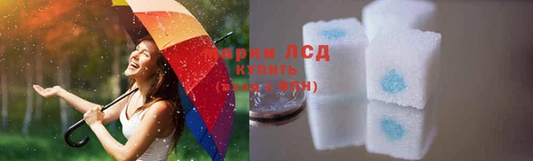 сатива Няндома