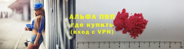 стаф Новодвинск