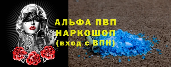 стаф Новодвинск