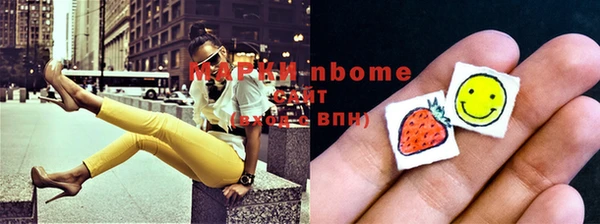 стаф Новодвинск