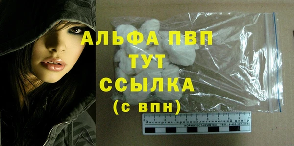 PSILOCYBIN Новозыбков