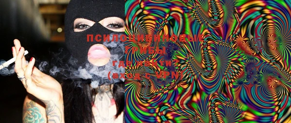PSILOCYBIN Новозыбков