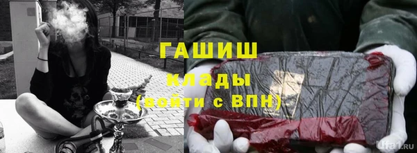 PSILOCYBIN Новозыбков